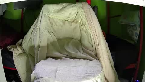 Kentaro online show from 12, 11, 2025