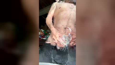 Walter online show from 12, 3, 2026