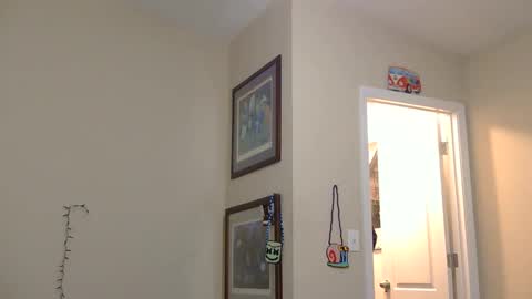 COSMOxWANDA online show from 20, 2, 2026