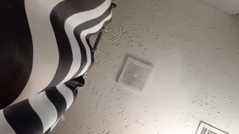 wanttowatch87 online show from 20, 2, 2025