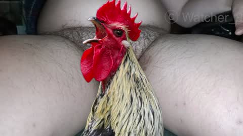 classified online show from 8, 12, 2024