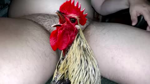 classified online show from 4, 10, 2025