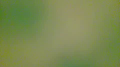 Snapshot of watchplaycum chatting on 8, 10, 2025 watchplaycum online show from 8, 10, 2025