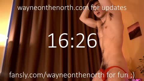 waynenorth online show from 16, 12, 2024