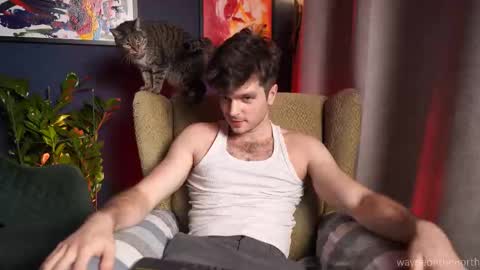 waynenorth online show from 25, 10, 2025