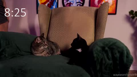 waynenorth online show from 22, 2, 2026