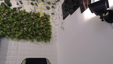 Snapshot of we_n_you chatting on 17, 2, 2025 Trixie 3 online show from 17, 2, 2025