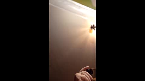 Snapshot of webiran chatting on 2, 3, 2026 webiran online show from 2, 3, 2026