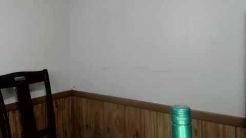 Snapshot of wedo_us chatting on 1, 1, 2025 wedo us online show from 1, 1, 2025