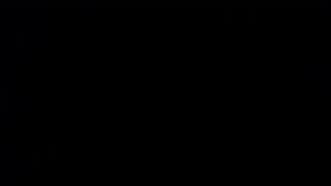 wellingtont online show from 25, 9, 2025