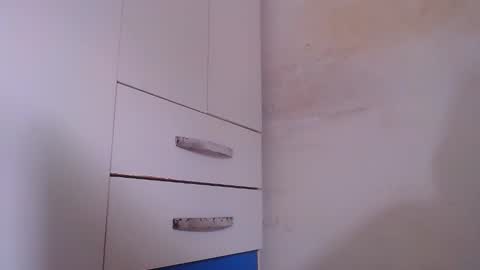 wellingtont online show from 9, 11, 2025