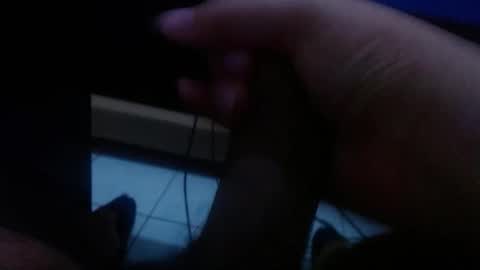 wellingtont online show from 15, 1, 2026