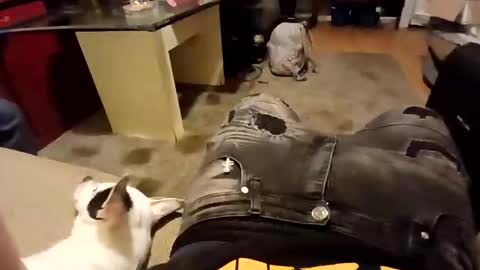 weloveeachothersrizz online show from 5, 12, 2025