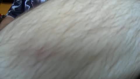 Snapshot of werewolf549 chatting on 14, 10, 2025 werewolf549 online show from 14, 10, 2025