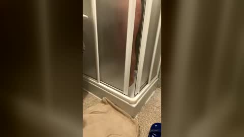 wet___pussy online show from 6, 7, 2026