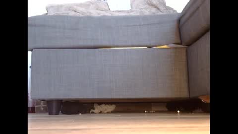 Snapshot of wet_pants2022 chatting on 27, 2, 2025 wet_pants2022 online show from 27, 2, 2025