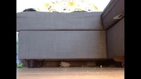 Snapshot of wet_pants2022 chatting on 3, 3, 2025 wet_pants2022 online show from 3, 3, 2025