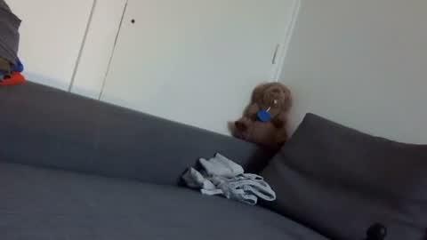 Snapshot of wet_pants2022 chatting on 22, 9, 2025 wet_pants2022 online show from 22, 9, 2025