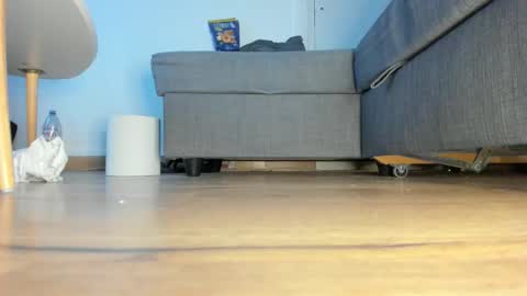 wet_pants2022 online show from 10, 2, 2026