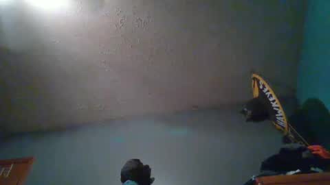 wetduck77777 online show from 5, 10, 2025