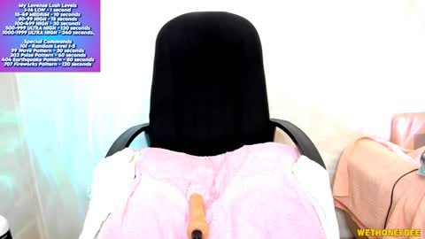 Snapshot of wethoneybee chatting on 5, 2, 2025 Mina online show from 5, 2, 2025