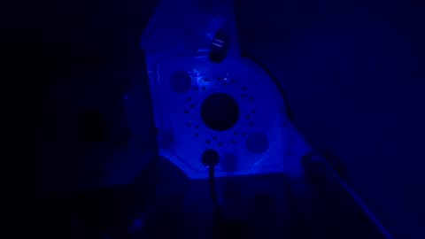 wfantasy472 online show from 2, 2, 2025