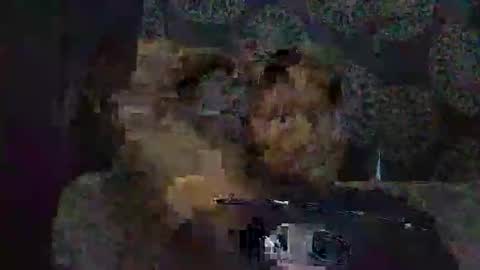 whinebae online show from 7, 3, 2026