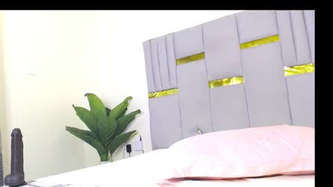 Whinebby online show from 5, 12, 2025