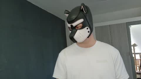 white_pup online show from 21, 4, 2026