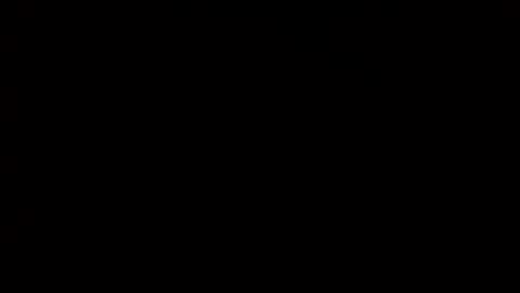 whitehead_lion online show from 14, 2, 2025