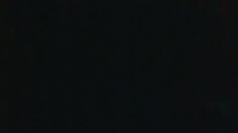 whitehead_lion online show from 17, 9, 2025