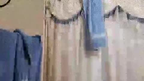 whodunnitwrangler online show from 20, 11, 2025