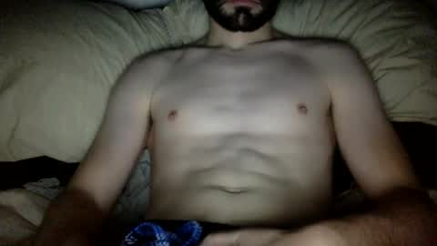 wholesomebull00 online show from 31, 12, 2024