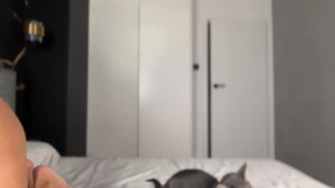 Alice online show from 2, 10, 2025