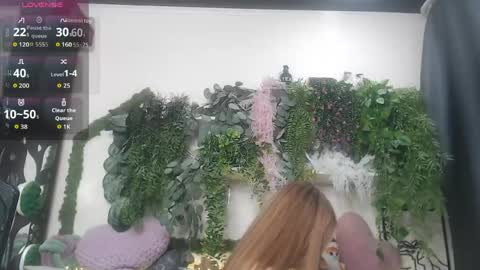 wiagra online show from 18, 4, 2026