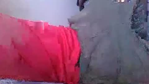 wild lemont online show from 8, 10, 2025