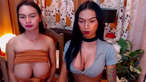 wildara online show from 8, 2, 2025