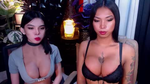 wildara online show from 21, 11, 2025