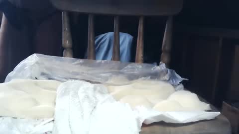 wildman6 online show from 26, 1, 2025