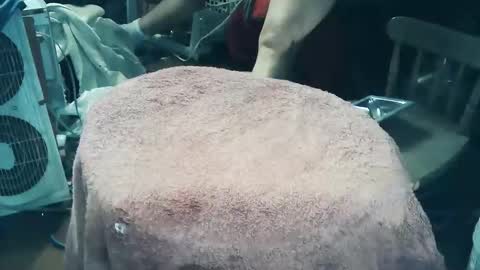 wildman6 online show from 27, 3, 2026