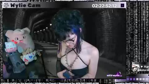 Snapshot of wildwylie chatting on 15, 1, 2025 Wylie Wanderlust online show from 15, 1, 2025