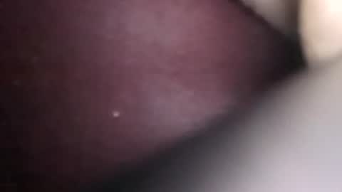 willhelm_the_pleaser online show from 30, 7, 2026