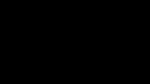 williewants online show from 27, 11, 2025