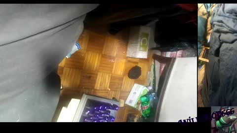 Snapshot of willisgod666 chatting on 10, 12, 2024 willisgod666 online show from 10, 12, 2024