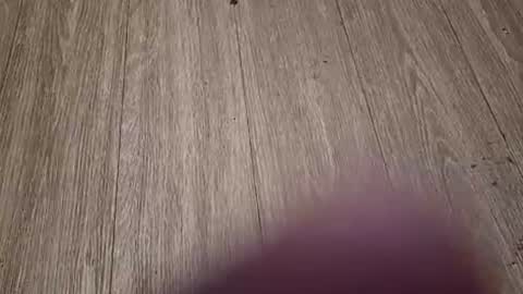 willy693214 online show from 24, 7, 2026
