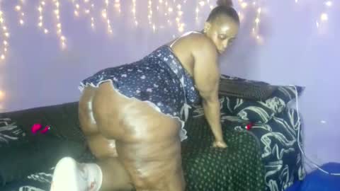 wilmaassylum online show from 2, 10, 2025