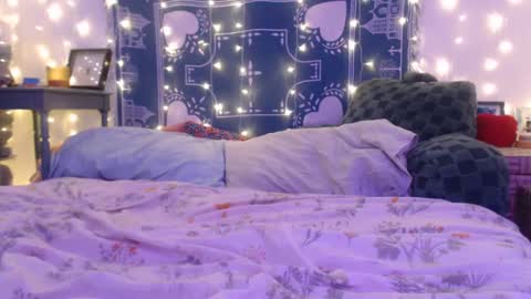 Eevie online show from 14, 12, 2024