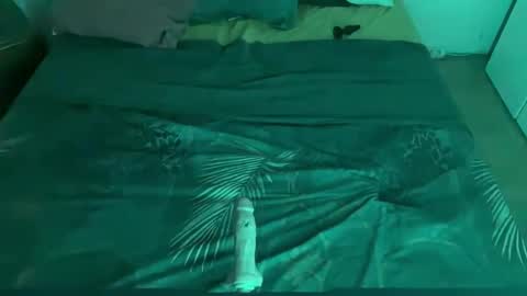 Sweetdog online show from 16, 9, 2025