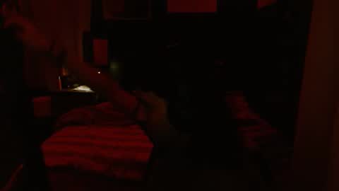 Snapshot of wolfgamer44 chatting on 26, 1, 2025 wolfgamer44 online show from 26, 1, 2025