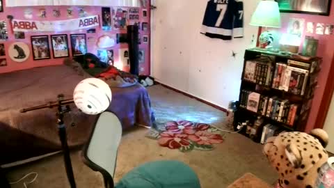 Wolfie online show from 9, 1, 2025